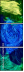 262127014