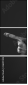 26417303