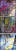26905857