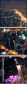 28886191