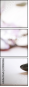 29082526