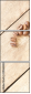 29468383