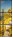 298439100