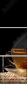 30284293