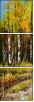 30284948