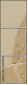 30400596