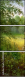31192484