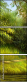 31192565