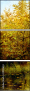 31192644