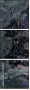 31219090