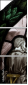 32756121