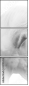 35103653