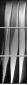 35619001