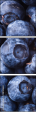 38114663