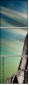 38998261