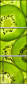 39788050