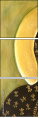 42945475
