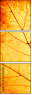 43838542