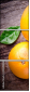 44049006