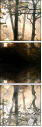 44630410