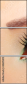44695415