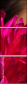 45325126