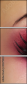 45479444
