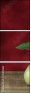 45812888
