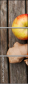 49579285