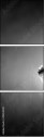 49654340