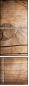 49749936