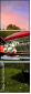 5005026