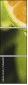 50666087