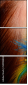 50908803