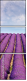 5101638