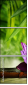 51188195