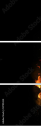 51795324