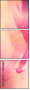 55958688