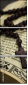 55994100