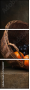 57583007
