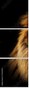 57644723