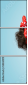 58844919