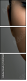 59141160