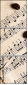 59335955