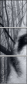 60177878