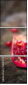 61040220