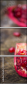 61040381