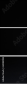 65080183