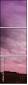 65457825