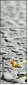 67079233
